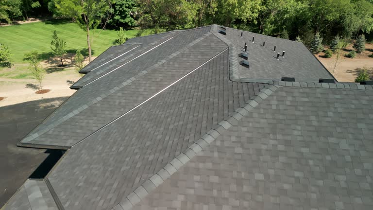 Best Solar Panel Roofing Installation  in Sutton, NE