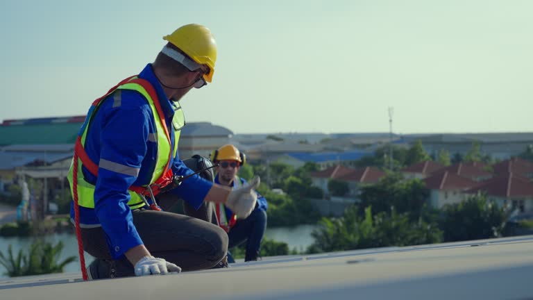 Best Roof Ventilation Installation  in Sutton, NE