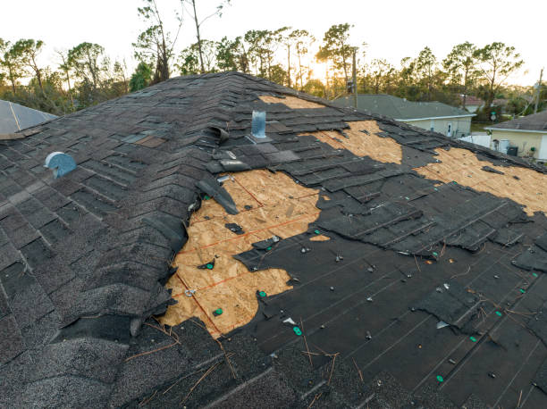 Best Roof Leak Repair  in Sutton, NE